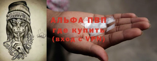 гидра Осташков