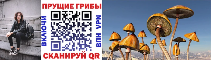 Галлюциногенные грибы MAGIC MUSHROOMS  Семикаракорск 